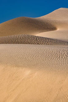 Dune Gallery: Landscape with sand dunes, Mojave Trails National Monument, California, USA