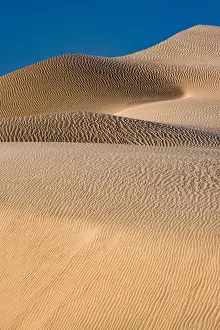 Landscape with sand dunes, Mojave Trails National Monument, California, USA