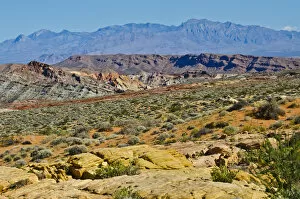 Images Dated 2nd October 2017: Landscape seen from Mouse Tank Road looking north, Valley of Fire State Park, Nevada, USA