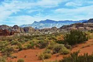 Images Dated 26th September 2017: Landscape seen from Mud Road in Gold Butte National Monument, Mesquite, Nevada, USA