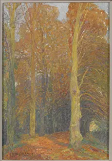 Landscape (Sous Bois)
