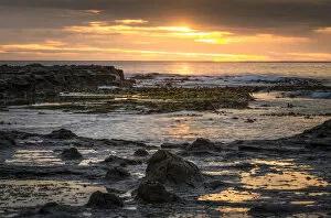 Landscape with sunset on the rocky coast, Curio Bay, The Catlins, South Island, New Zealand