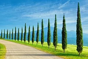 Landscape in Tuscany with cypress trees