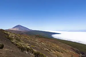 Misty Prints: Landscape with vegetation typical of the Parque Nacional de las Canadas del Teide