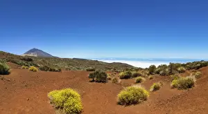 Natural Landmark Prints: Landscape with vegetation typical of the Parque Nacional de las Canadas del Teide