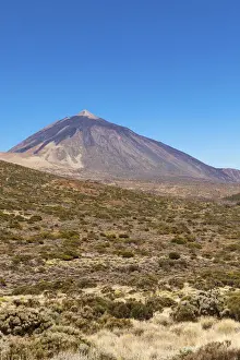 Islas Canarias Prints: Landscape with vegetation typical of the Parque Nacional de las Canadas del Teide