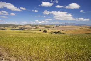 Images Dated 21st October 2006: Landscape View of Farmland with Mountains in Background