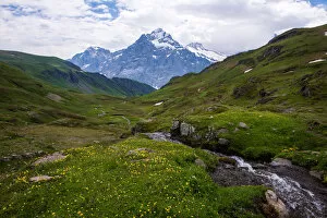 Images Dated 28th June 2014: Landscape view of Grindelwald-First hiking route