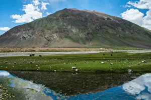 Images Dated 16th July 2015: Landscape view of Zanskar, India