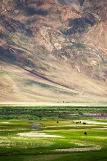 Images Dated 15th July 2015: Landscape of Zanskar Valley