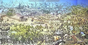 Landscapes Collection: The landscapes around Lake Constance, Germany, at the end of the 15th century, Historical
