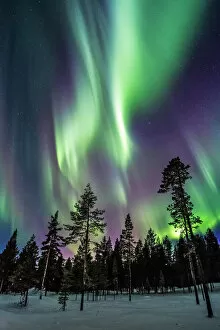 Images Dated 22nd February 2015: Lapland Aurora