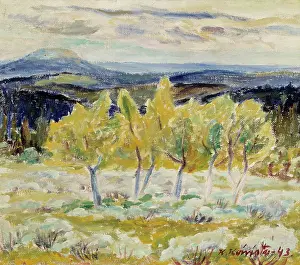 Museum Of Art Prints: Lapland Mountain Birches