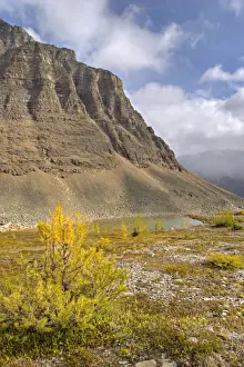 Larch Valley