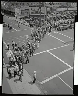 Large Crowd Marching in Street