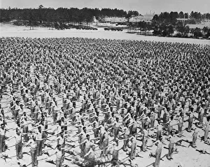 Large Formation of Soldiers for Drill Before War Games