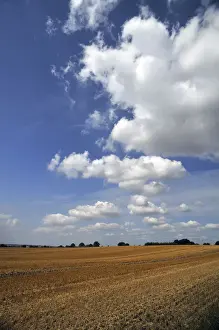 Cultural Landscape Prints: Large harvested wheat field with a cloudy sky