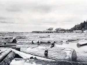 Earthquake Prints: Large Sawmill On The Culumbie River