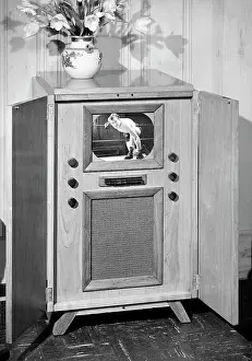 Large Tv Set; Boxer Looking At Camera