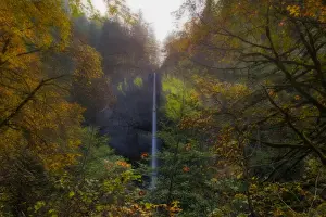 David Gn Photography Prints: Latourell Falls in Autumn
