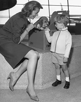 Lauren Bacall and Son Playing with Pet Dog