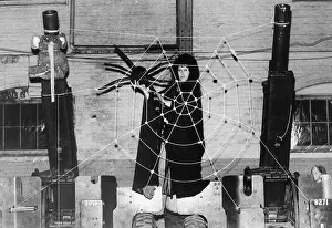 Laurie Cabot Decorating for Witches Halloween Ball
