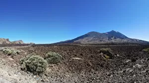 Lava field, Mt Teide volcano at back, Teide National Park, UNESCO World Heritage Site, El Jaral, Tenerife