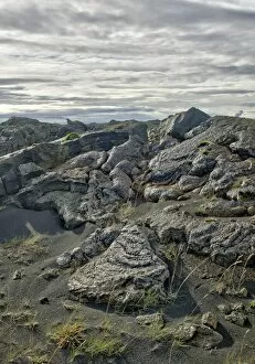 Volcano Collection: Lava field, Reykjanes, Iceland