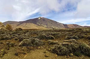 Lava landscape in Teide National Park, UNESCO World Natural Heritage Site, Tenerife, Canary Islands, Spain