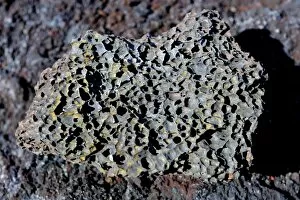 Images Dated 29th October 2011: Lava rock, La Palma, Canary Islands, Spain, Europe, PublicGround