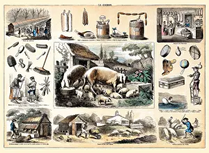 Products Prints: Le Cochon and Products