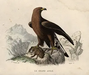 Le Grand Aigle