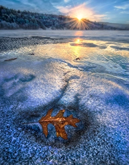 Frost Collection: Leaf frozen in lake at sunset