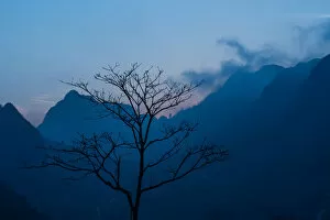 Images Dated 16th February 2014: A leafless tree in front of mountains background