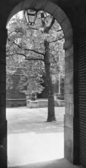 Portrait Architectural Prints: A Leafy View