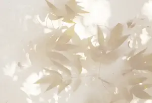 Technique Prints: Leaves on a canvas, Mexico