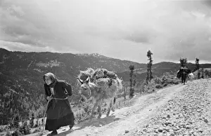 Refugees Prints: Leaving The Battle