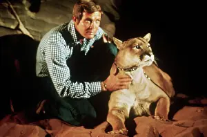 Tv Series Prints: Lee Majors with Cougar