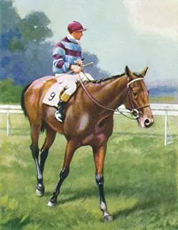 Racetrack Prints: Legend Of France