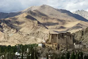 Images Dated 19th August 2016: Leh Palace, Leh, India