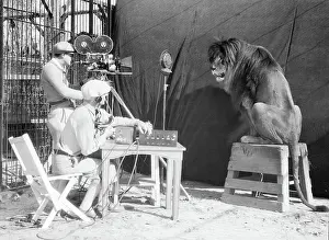 Filming Prints: Leo the Lion Being Recorded