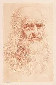 Images Dated 3rd March 2017: Leonardo da Vinci (1452-1519), Italian polymath, heliogravure, published in 1884