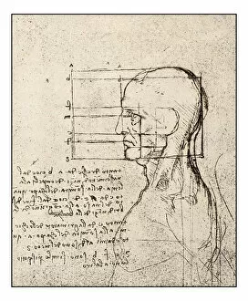 Images Dated 2nd November 2016: Leonardos sketches and drawings: man head sketch