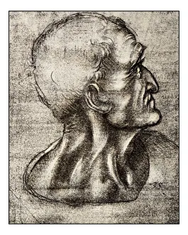 Images Dated 2nd November 2016: Leonardos sketches and drawings: The last supper, Judas