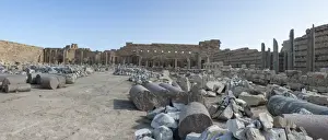 Medusa Prints: Leptis Magna