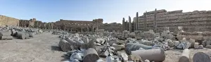 Medusa Prints: Leptis Magna