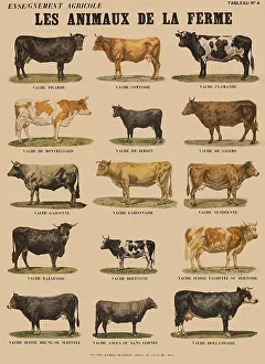 Bovine Prints: Les Animaux de la Ferme