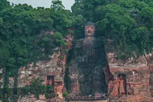 Lush Foliage Gallery: Leshan Giant Buddha