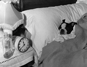 Clock Collection: Let It Lie