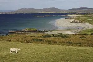 lettergesh beach on the renvyle peninsula